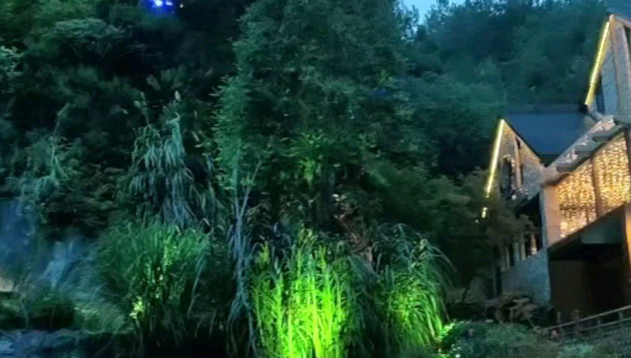 幻想森林逃生